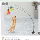 포유덴탈 | [고양이 장난감 추천] 뭉게의 최애 장난감, 베스트&amp;워스트 장난감 공유. 알수없는 고양이의 취향