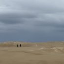 넬슨팜 | 호주 시드니 포트스테판 사막 돌핀투어 모래썰매 와이너리 줌줌투어 후기