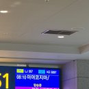 라이징썬 | 일본의 몰디브 미야코지마 여행 후기 (OTS렌트/라이징선 호텔/파다미야코지마 야비지투어 등)