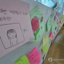 자매네과일