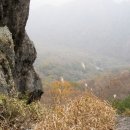 서로.화 이미지