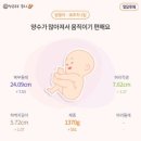 모아산부인과의원 | #20 나의 임신일기🤰 아인병원 산부인과 임신후기 30주, 32주, 34주차 황은주과장님 진료❤️