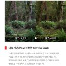 R-6 | 소니 A7R6 (ILCE-7RM6) 솔직 후기-화질의 한계를 깨부수는 초고화소 미러리스의 끝판왕