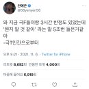 에바돈카츠 이미지