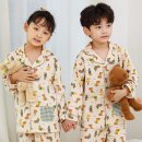 파자마독 이미지