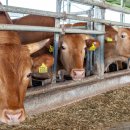 현진농장 이미지