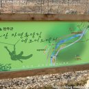 영등동-63 이미지