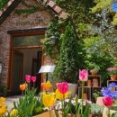 봄내목장 이미지