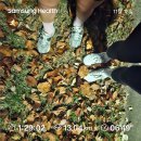 송도문화로120번길 이미지