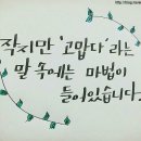 동반자 이미지