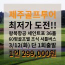 제주도 세인트포! 마지막 3월 특가행사 29.9만!!(항공포함) 이미지