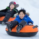 청양 알프스마을로 떠나보자! 대한민국의 작은 스위스 여행