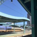 NR-3[평화로]-하-51 | 목포여행2박3일 (1) 목포근대역사관 긴자회수산 평화광장 후기(평화광장맛집추천)