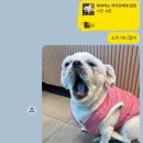 커피 플러스 메이트