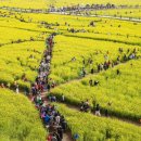 생태공원농장 이미지