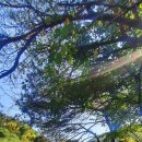 치악산둘레길 2코스 구룡길 이미지