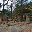 비슬산관광지 이미지