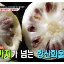 노니카페 이미지