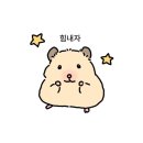 또또 김밥&칼국수 | 뜨끈한 백숙이 왔어요~ (백수라는 뜻)