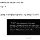 윈도우 10 정품 인증키 분실시 찾는법 이미지