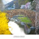 창녕 영산 만년교 이미지