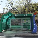 충신강항정려각 이미지