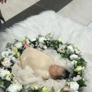 마벨 산후조리원 이미지