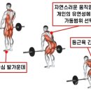 피티(PT)텐션 이미지