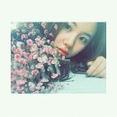 안남 Daum카페