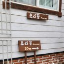 초리꽃펜션 네이버블로그