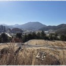 청평공인중개사사무소 네이버블로그