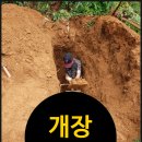 일선의전