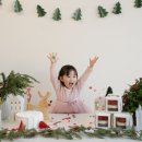 시니스냅 이미지