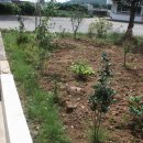 열무농장 이미지