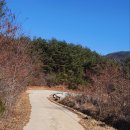 문복로+소호로 이미지