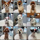 야리3길 이미지