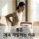 핏쁨 | 별내 체형교정 PT 병원 다녀도 통증이 재발하는 진짜 이유