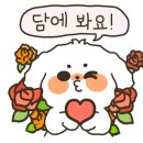 무궁화약국 이미지