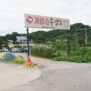 시골흑염소 이미지