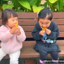 우리꽃떡만들기 이미지