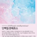 아우라럭스 이미지