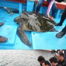 푸른바다 이미지