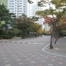 안산청석초등학교 이미지