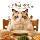 신쭈꾸미 - 서구 군분로147번길 13 | [김해 맛집] 내외동 무한신쭈꾸미 무한리필 후기
