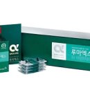 정관장(복합) 이미지