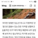MBTI/ISTP 이미지
