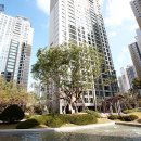 위시티로 이미지