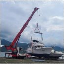 대한크레인 | 진동맹꽁이크레인 진동대한크레인 이용 후기: 믿고 맡길 수 있는 전문가