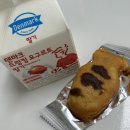 애디팩트 | 하느리의 일상생활 [24년 1월 3주차 주간일기]