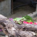 시골가든 이미지